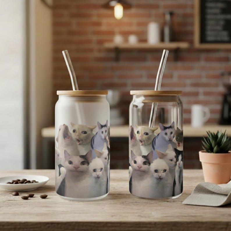 Funny Cat Meme Glass Cup - 16oz Iced Coffee Glass with Crying & Screaming Cats - Aesthetic Transparent Cat Lover Gift