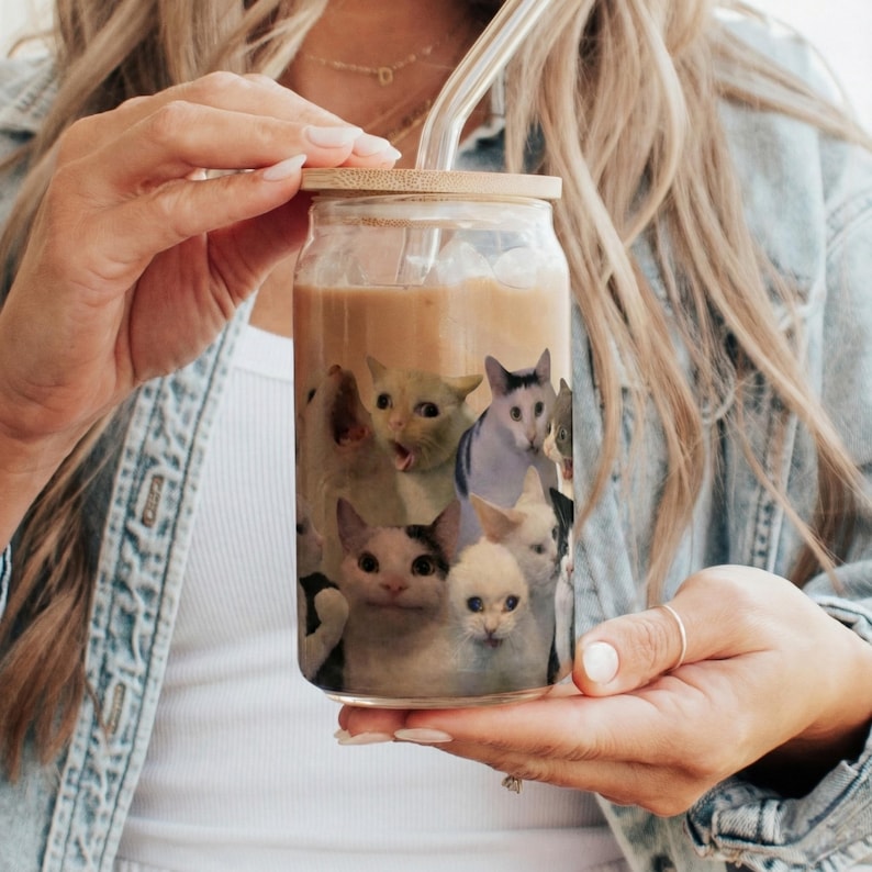 Funny Cat Meme Glass Cup - 16oz Iced Coffee Glass with Crying & Screaming Cats - Aesthetic Transparent Cat Lover Gift